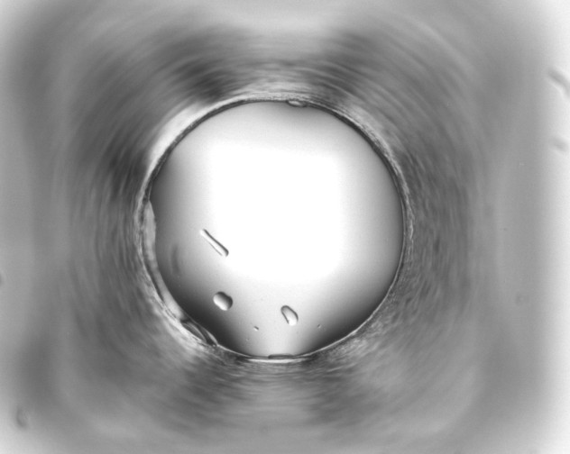 X0000093441344200711021046