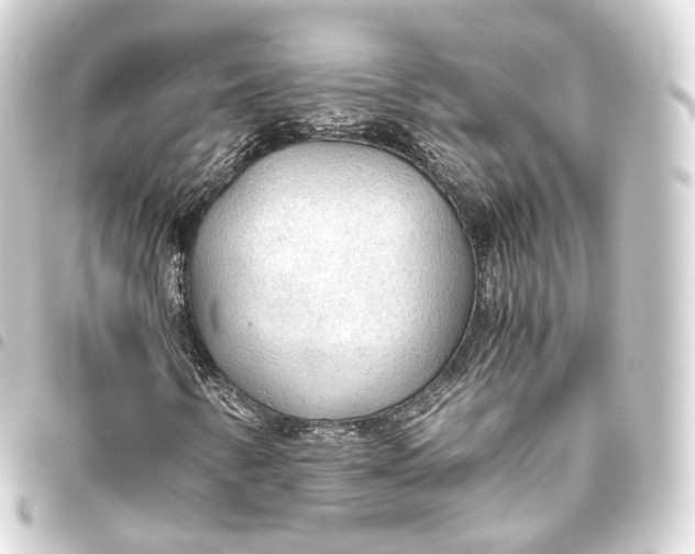 X0000093441346200711021046