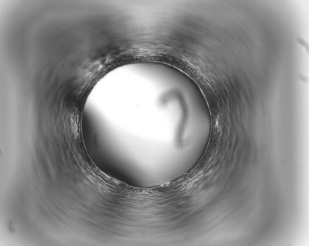 X0000093441348200711021046