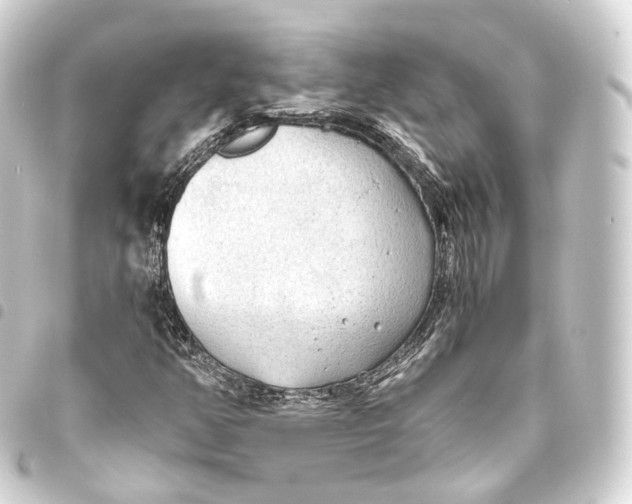 X0000093441350200711021046