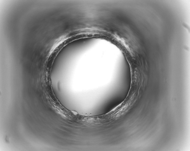 X0000093441352200711021046