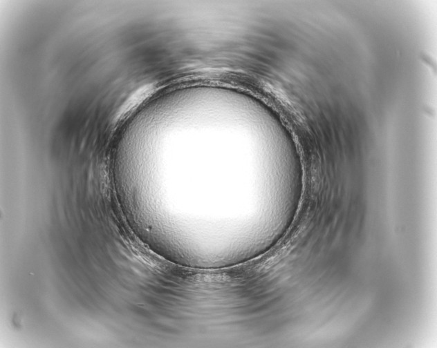 X0000093441354200711021046