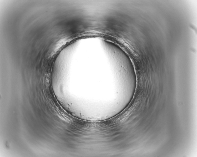 X0000093441355200711021046