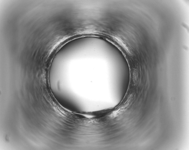 X0000093441356200711021046