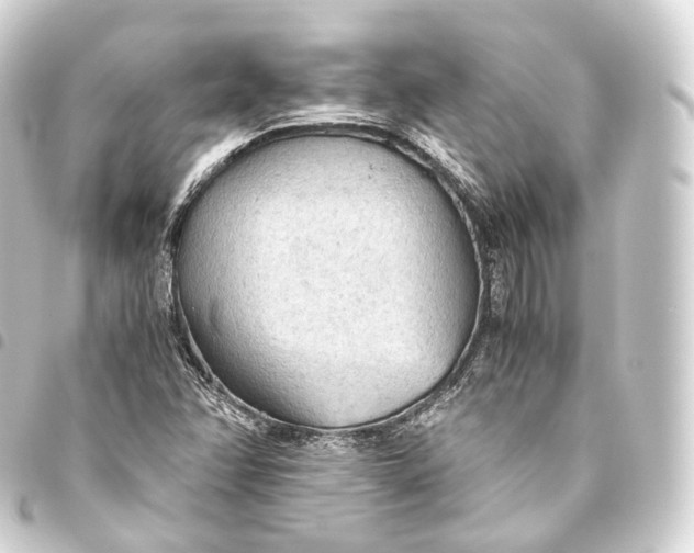 X0000093441358200711021046