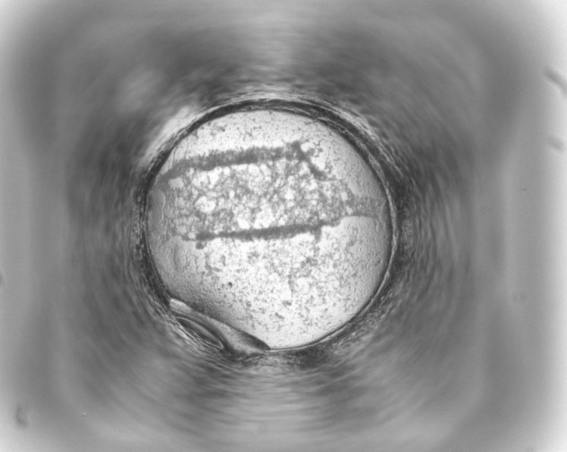 X0000093441359200711021046