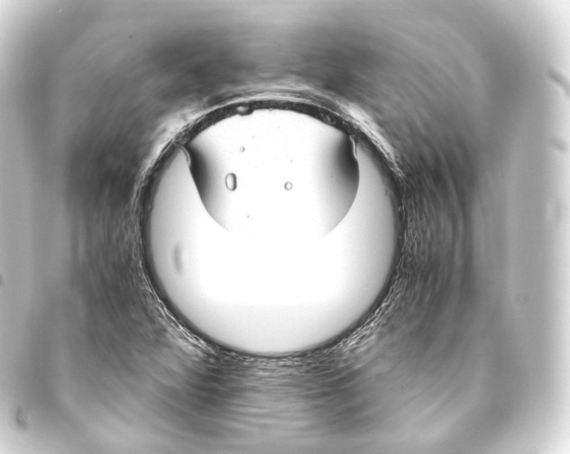 X0000093441360200711021046