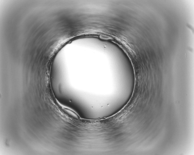 X0000093441363200711021046