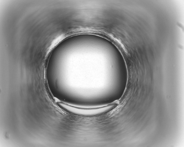 X0000093441365200711021046