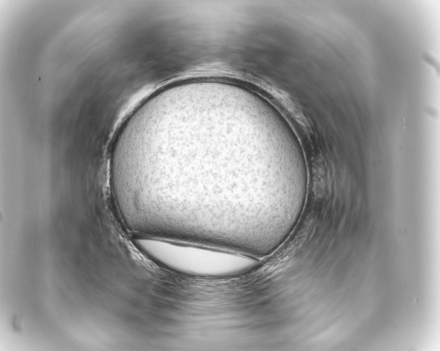 X0000093441366200711021046