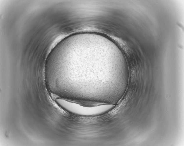 X0000093441374200711021045