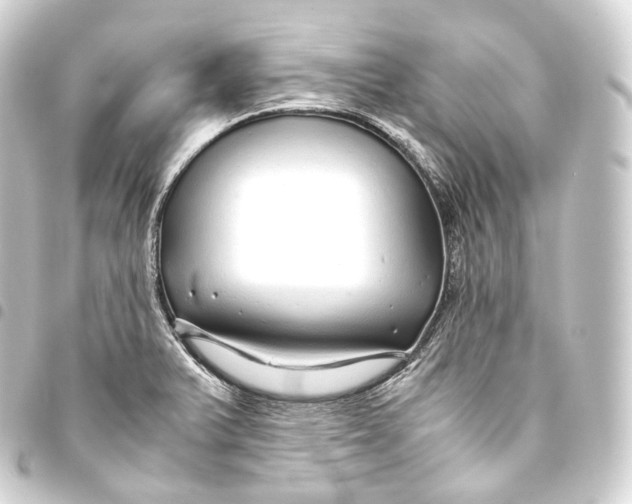 X0000093441375200711021045