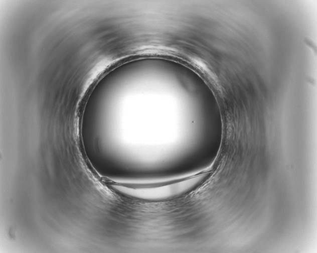 X0000093441376200711021045