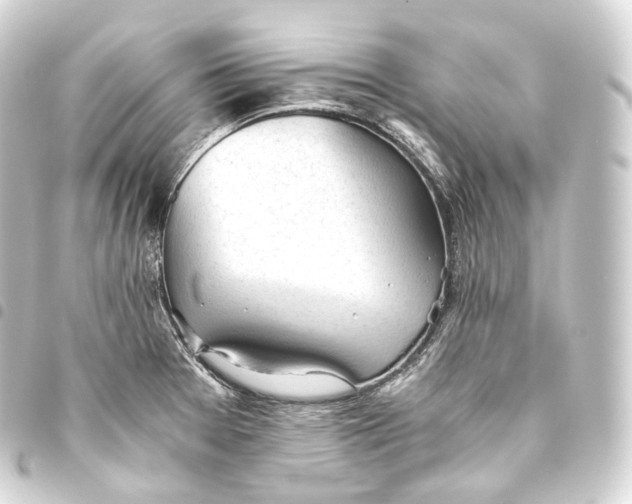 X0000093441377200711021045