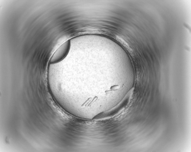 X0000093441378200711021045