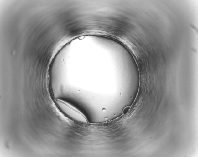 X0000093441379200711021045