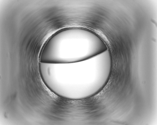 X0000093441380200711021045