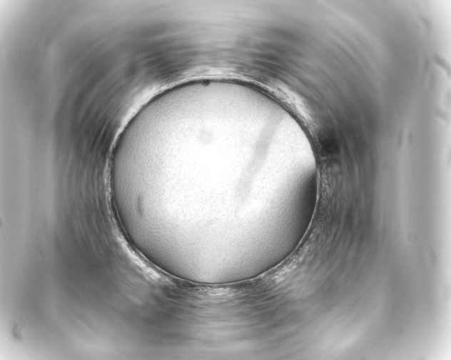 X0000093441382200711021045