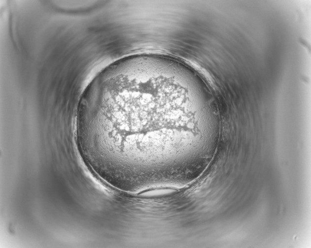 X0000093441383200711021045