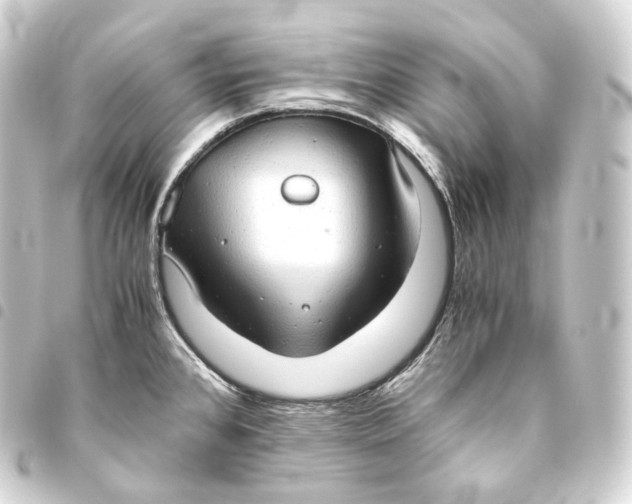 X0000093441384200711021045