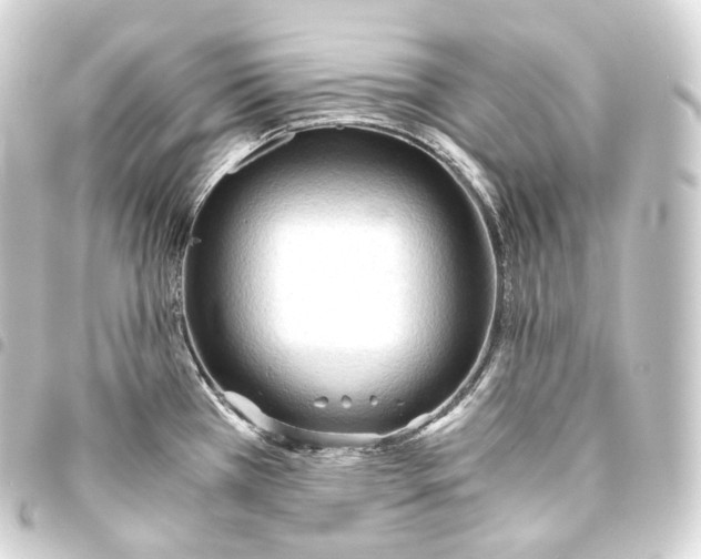 X0000093441385200711021045