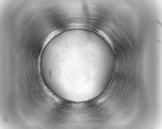 X0000093441386200711021045