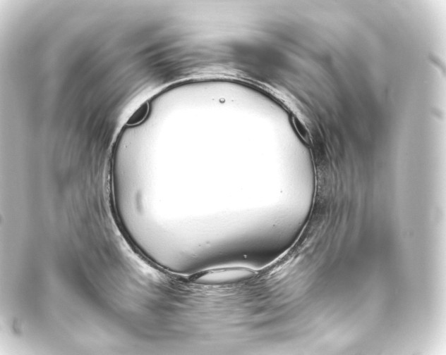 X0000093441387200711021045