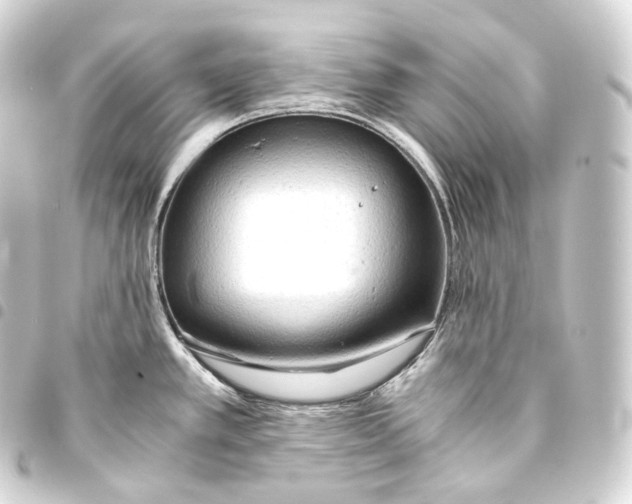 X0000093441389200711021045