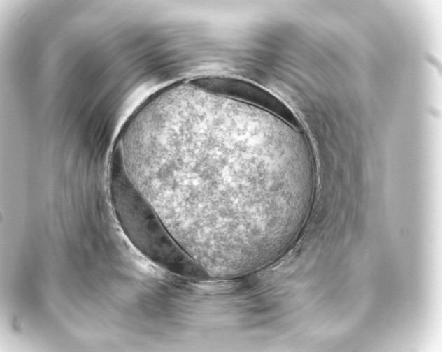 X0000093441392200711021045