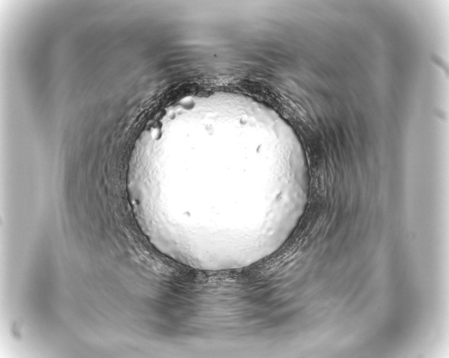 X0000093441393200711021045