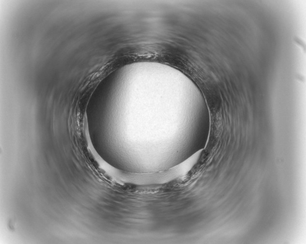 X0000093441394200711021045