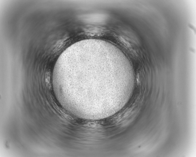 X0000093441396200711021045