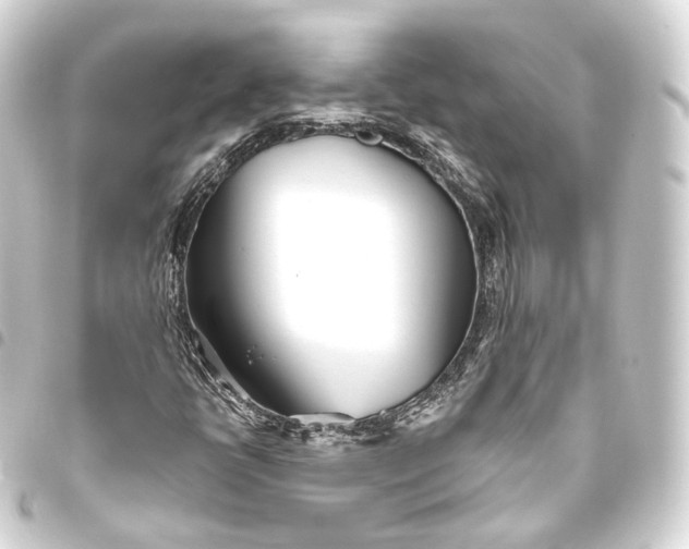 X0000093441398200711021045