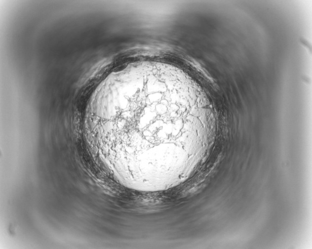 X0000093441399200711021045