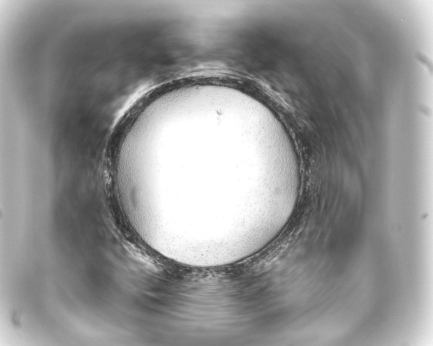 X0000093441400200711021045