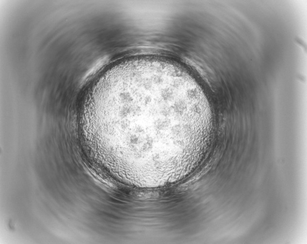 X0000093441403200711021045