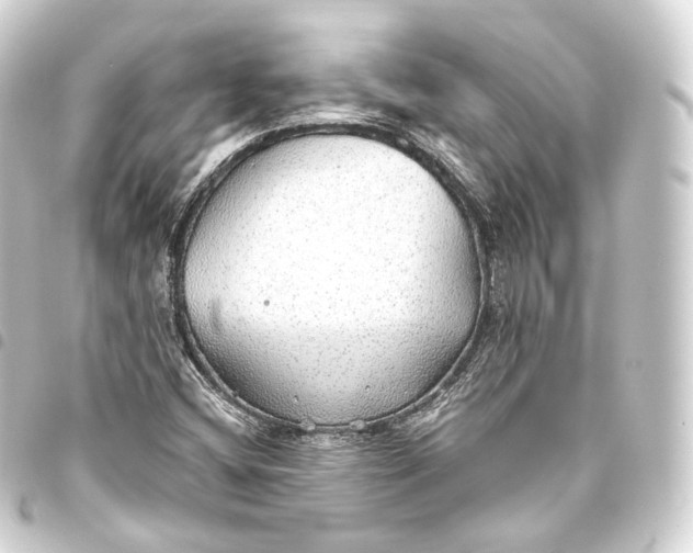 X0000093441404200711021045