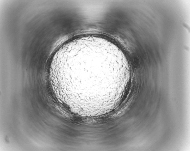 X0000093441405200711021045