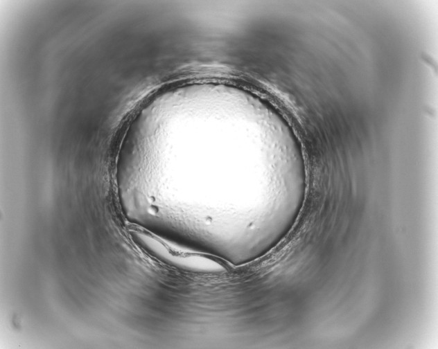 X0000093441407200711021045