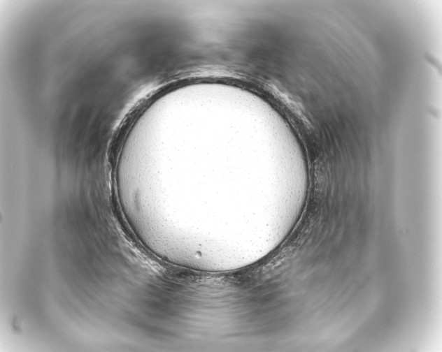 X0000093441408200711021045