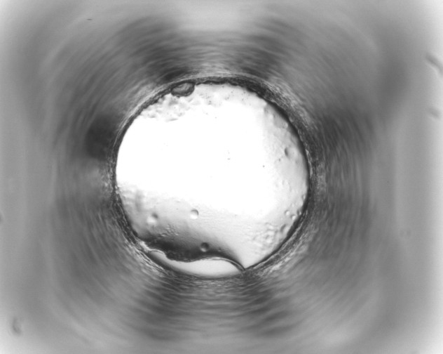 X0000093441409200711021045