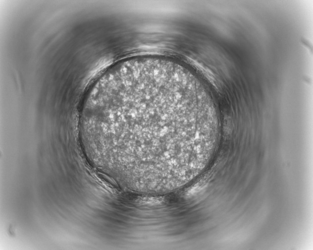 X0000093441411200711021045