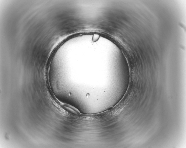 X0000093441412200711021045