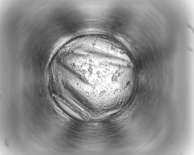 X0000093441413200711021045