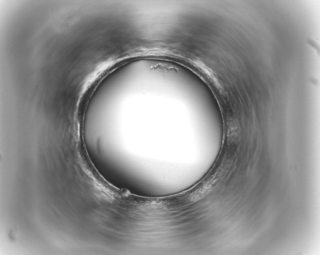 X0000093441414200711021045