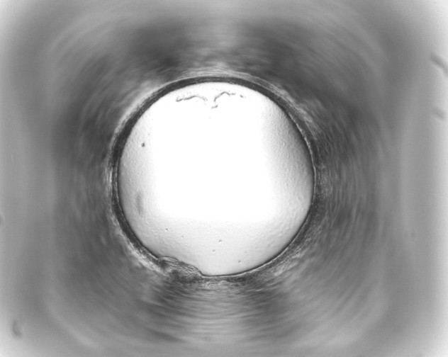 X0000093441416200711021045