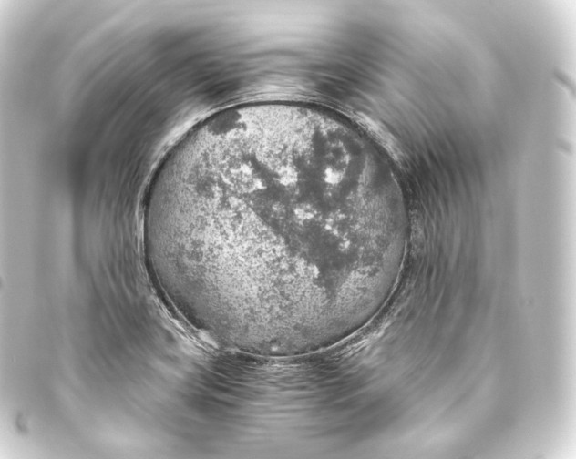 X0000093441419200711021045