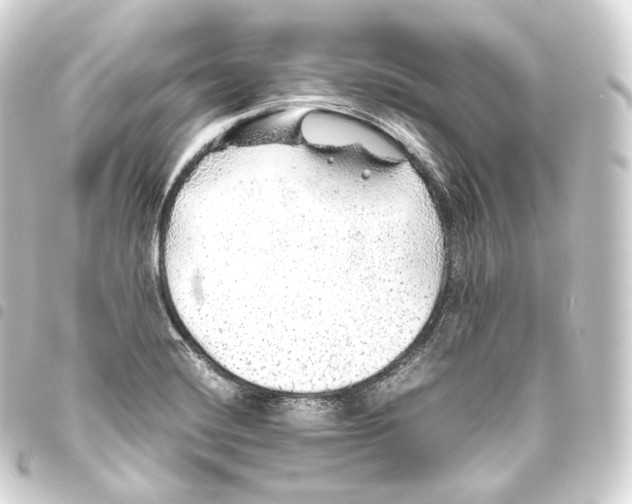 X0000093441420200711021045