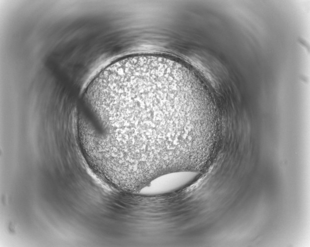 X0000093441421200711021045