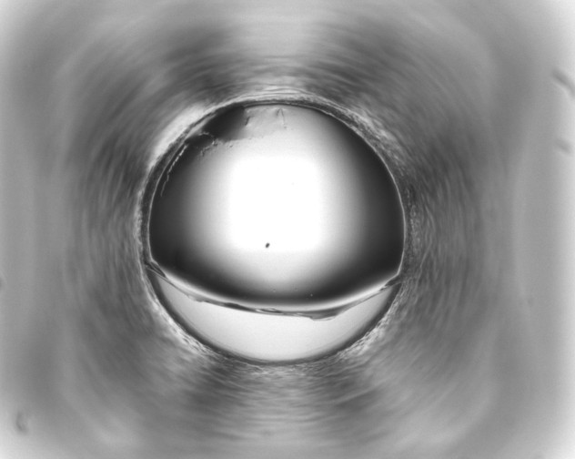 X0000093441422200711021045